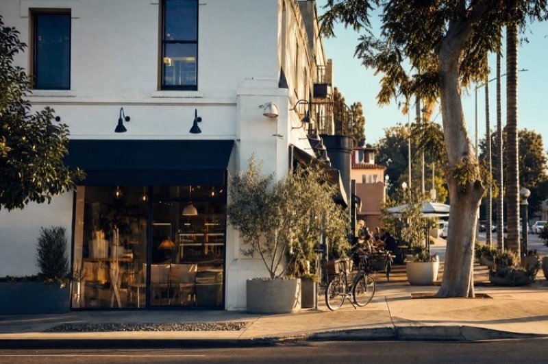 A white corner shopfront with a dark awning, olive trees in planters and palm trees along a sunny sidewalk